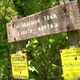 Image for article titled Knife-Wielding Hiker Accused Of Killing One Camper, Injuring Another On Appalachian Trail